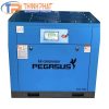 Máy Nén Khí Trục Vít Pegasus TMPM15A